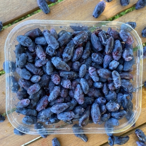 Haskap svježe bobice 500g