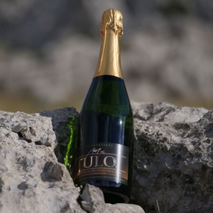 Pjenušac od meda - Pjenušava Medovina 0.75L