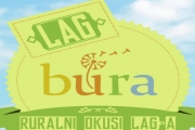 Fresh Organic Mustard Leaves 